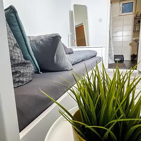 Little Dream In The Apartament